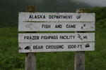 Bear Viewing Kodiak Island Alaska